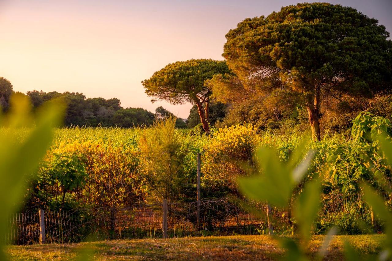 Masseria Mongiò dell'Elefante Otranto Esterno foto