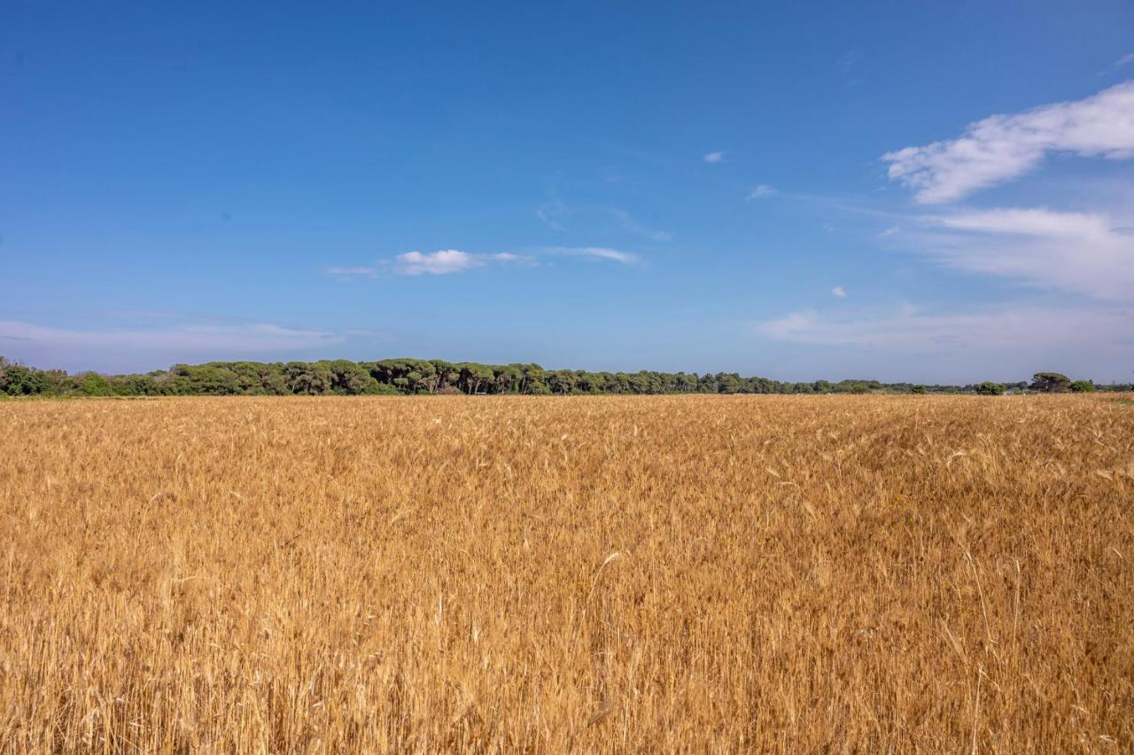 Masseria Mongiò dell'Elefante Otranto Esterno foto