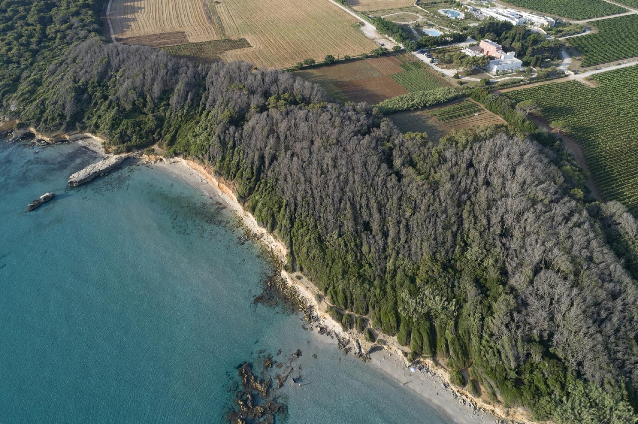Masseria Mongiò dell'Elefante Otranto Esterno foto