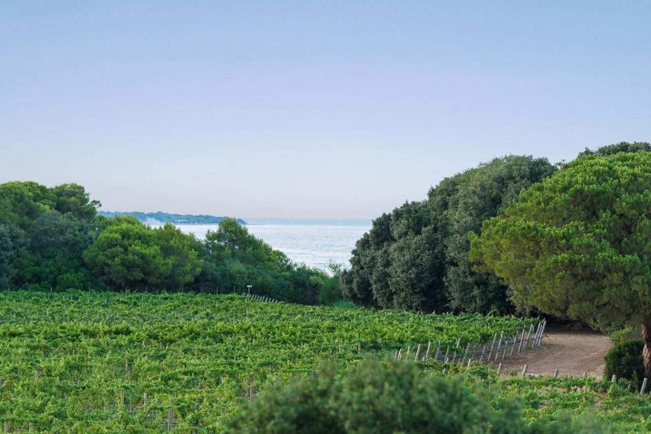 Masseria Mongiò dell'Elefante Otranto Esterno foto
